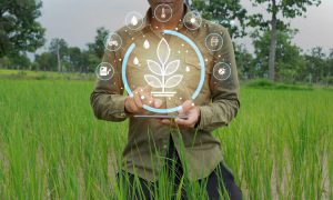 Blog 56 tvseurogripoht 15 Essential Sustainable Farming Practices